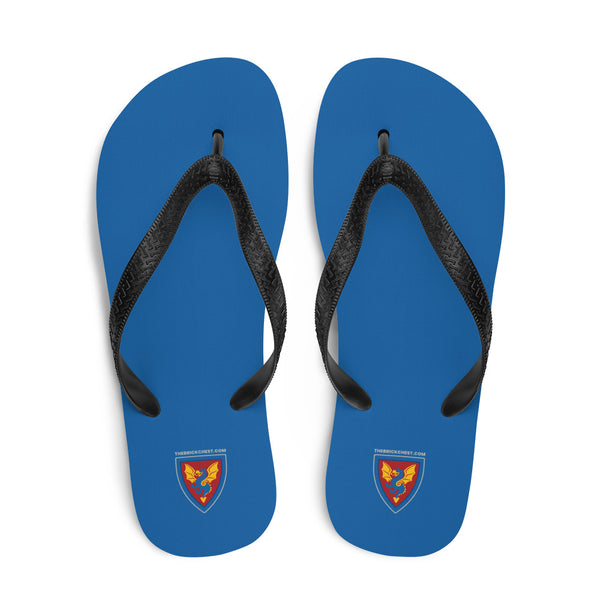 Vintage Castle Dragon 2 Shield Flip Flops