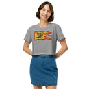 Vintage Castle Dragon Fire Flag Women’s crop top