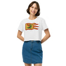 Vintage Castle Dragon Fire Flag Women’s crop top